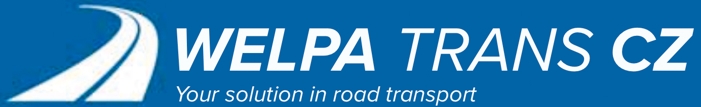 Primary Raster logo